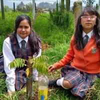 Proyecto ciencia integrada en el aula: una aventura ambiental en la granja del zipa